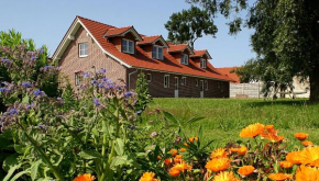 Ferienhaus Lobbe - Wohnung 04 mit Terrasse strandnah, Middelhagen